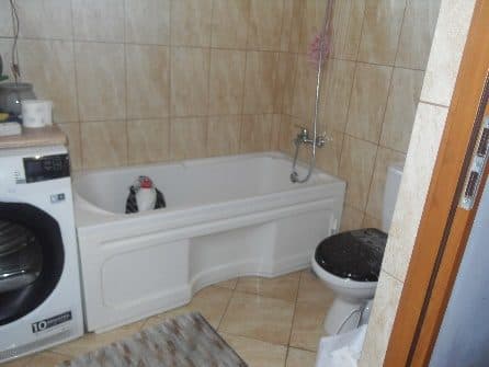 Lokal mieszkalny poł. w Rzeplinie o pow. 44,05 m2 (z piwnicą) – zdjęcie 22 z 24