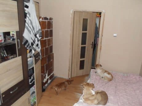 Lokal mieszkalny poł. w Pyrzycach o pow. 42,28 m2 – zdjęcie 24 z 30
