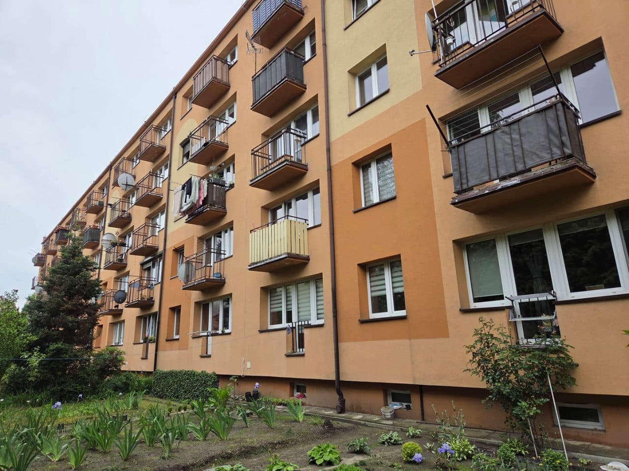 Nieruchomość - lokal mieszkalny – zdjęcie 2 z 3