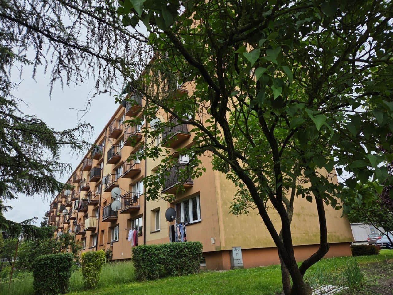 Nieruchomość - lokal mieszkalny – zdjęcie 3 z 3