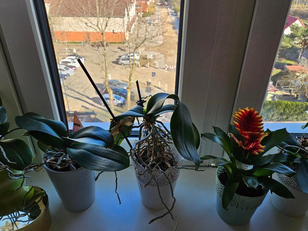 mieszkanie trzypokojowe – zdjęcie 20 z 21