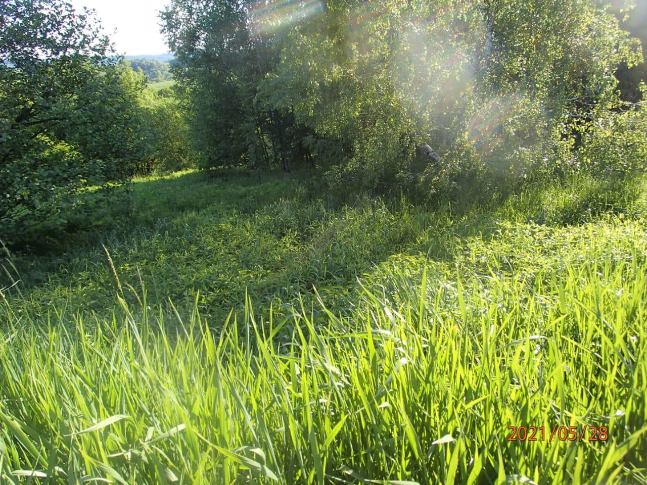Nieruchomość obj. KW RZ1S/00002468/3 – zdjęcie 10 z 12