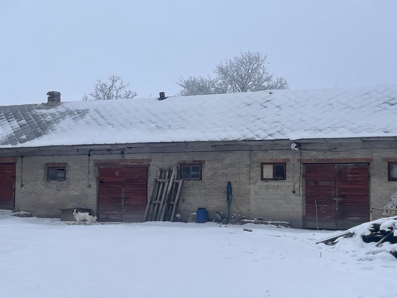 dz. nr ewid. 84/2, 203 Poniatowa Kolonia – zdjęcie 7 z 7