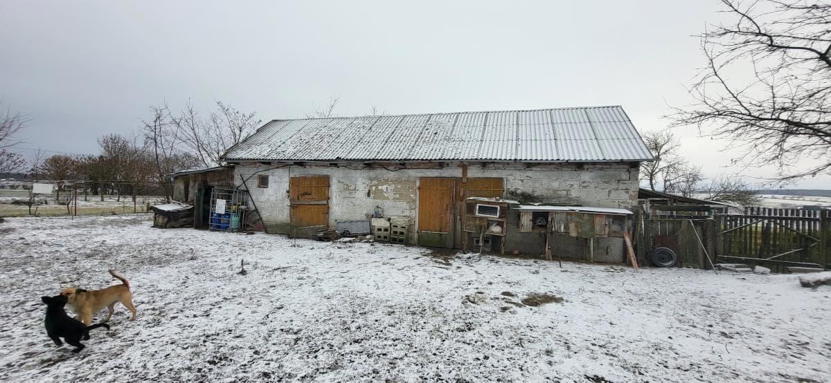 Prawo własności do nieruchomości gruntowej zabudowanej - 0,4680 ha - Leszczany I gm. Żmudź – zdjęcie 4 z 5