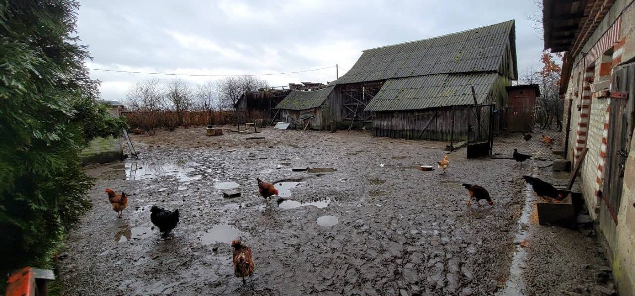 Prawo własności do nieruchomości gruntowej zabudowanej - 1,53 ha - Roztoka gm. Żmudź – zdjęcie 16 z 21