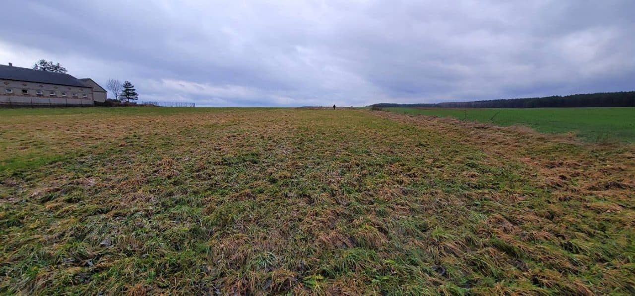 Prawo własności do nieruchomości gruntowej zabudowanej - 1,53 ha - Roztoka gm. Żmudź – zdjęcie 17 z 21