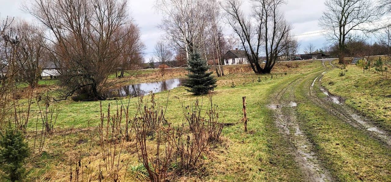 Prawo własności do nieruchomości gruntowej zabudowanej - 1,53 ha - Roztoka gm. Żmudź – zdjęcie 19 z 21