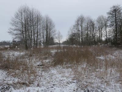 nieruchomość gruntowa zabudowana domem jednorodzinnym – zdjęcie 6 z 7