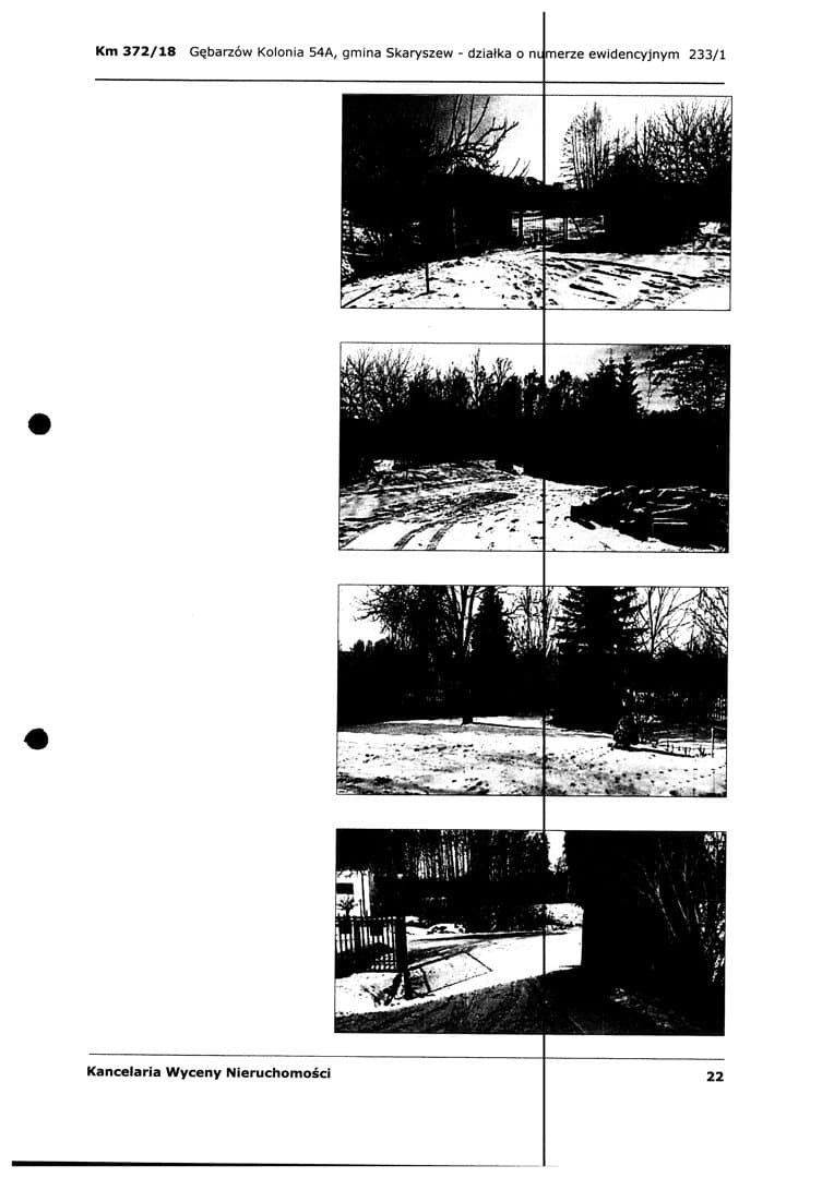 działka nr 233/1 o pow. 0,41 ha – zdjęcie 3 z 3