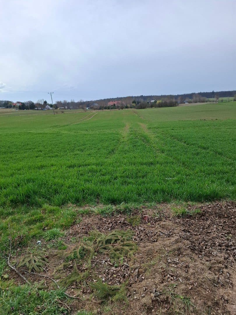 Nieruchomość gruntowa zabudowana budynkiem mieszkalnym jednorodzinnym i budynkami gospodarczymi- dz. nr 45, Lubków – zdjęcie 11 z 28