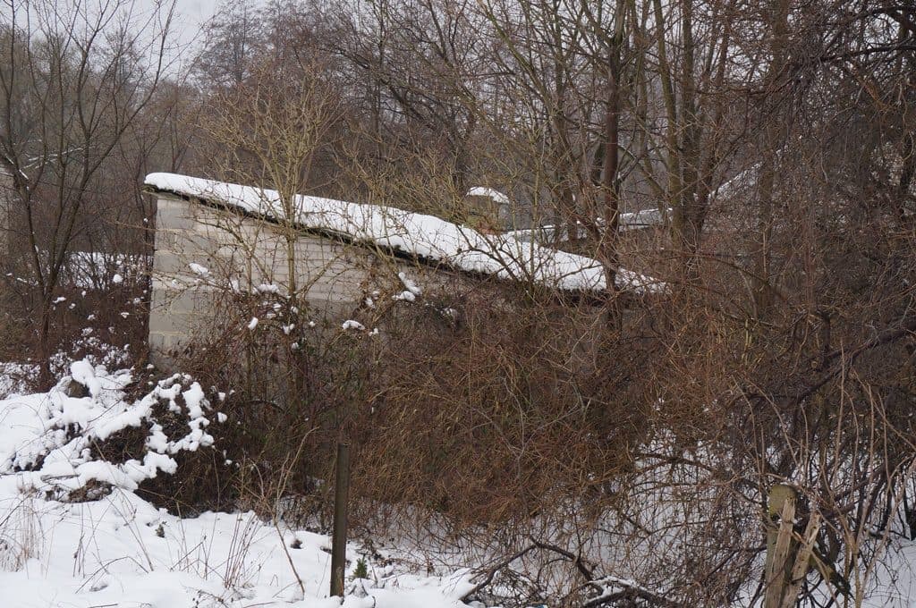 Grunty o łącznej pow. 11061 m2 zabudowane budynkiem mieszkalnym o pow. 101 m2 oraz 5 budydnkami gospodarczymi – zdjęcie 18 z 26