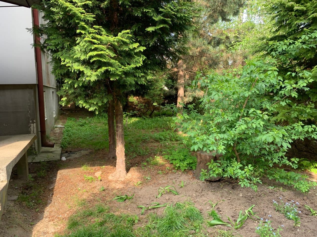 niewydzielony udział wynoszący 6/18 części w nieruchomości gruntowej stanowiącej zabudowaną działkę 42/2, o pow. 0,0436ha; – zdjęcie 6 z 10