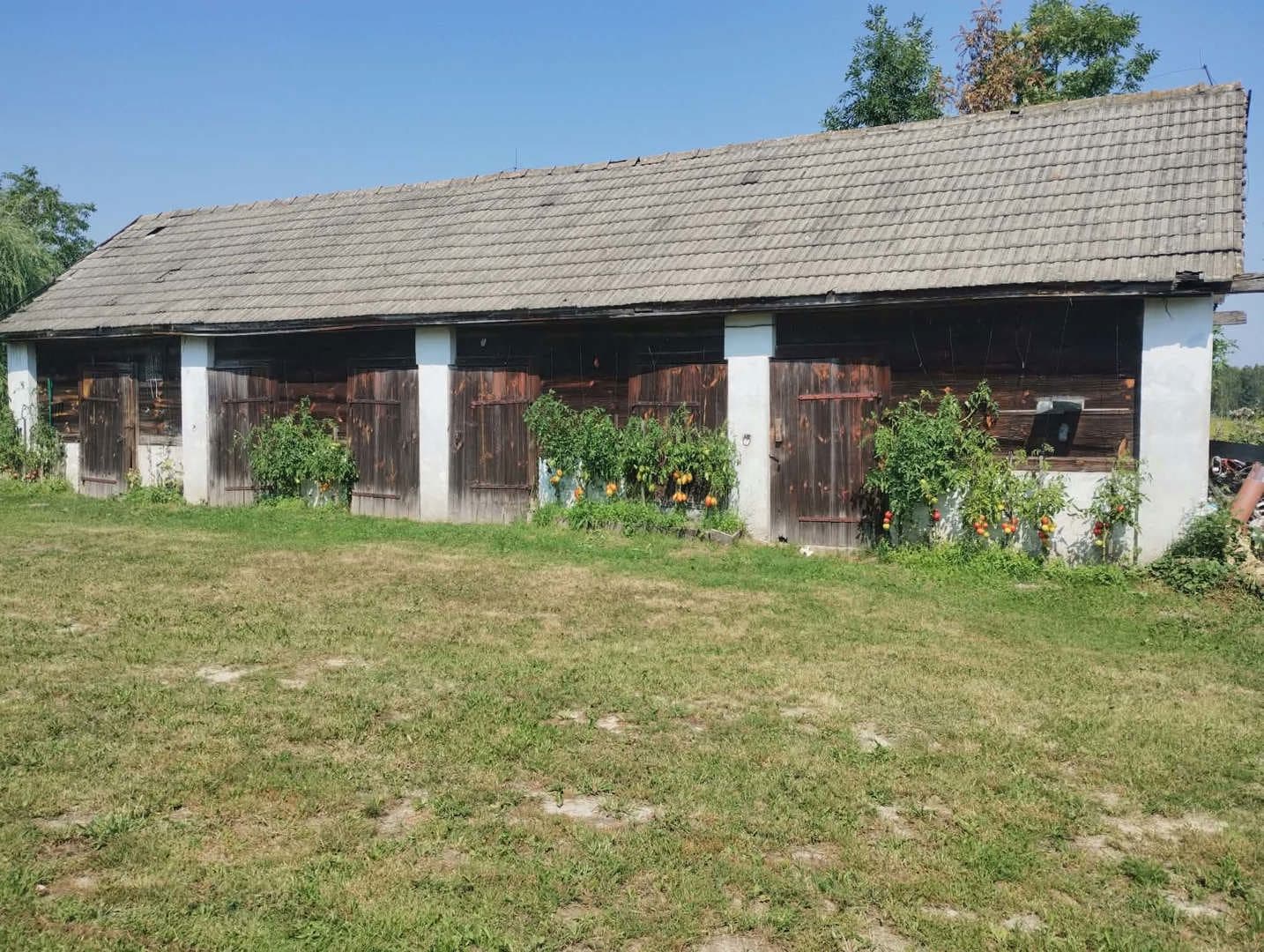 działka gruntu nr ew. 294 i 221 o pow. łącznej 1,440 ha – zdjęcie 2 z 6