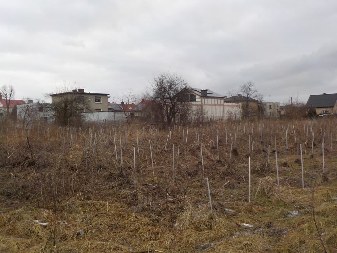 Nieruchomość gruntowa zabudowana domem, zabudowaniami gospodarczymi i stodołą – zdjęcie 3 z 26