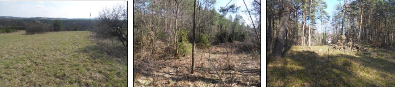 Nieruchomość gruntowa składająca się z działki nr 175/1 położonej w miejscowości Cieślin, gm. Klucze pow. olkuski, woj. małopolskie i posiada założoną księgę wieczystą w Wydziale V Ksiąg Wieczystych Sądu Rejonowego w Olkuszu pod nr KW KR1O/00081886/9