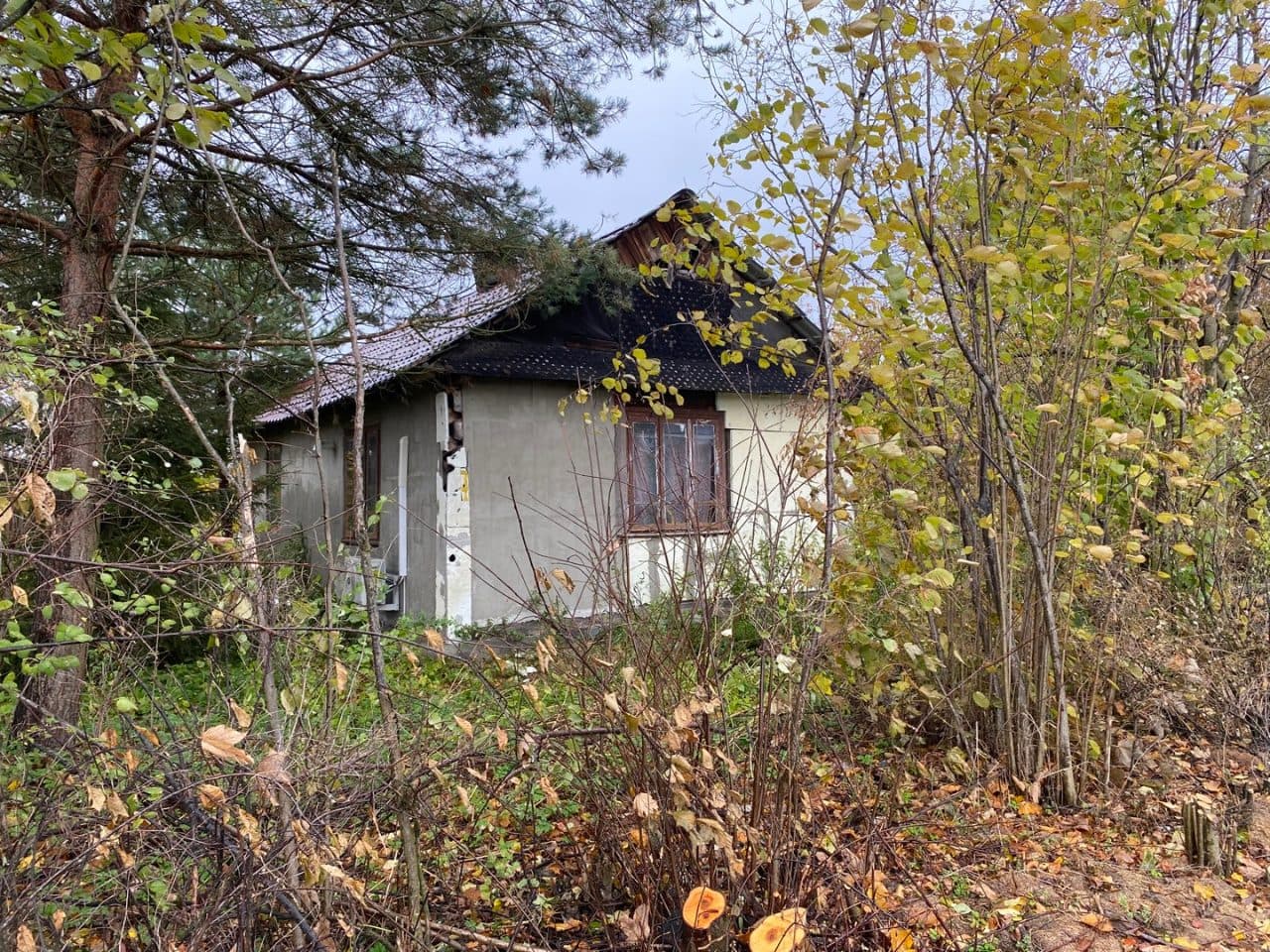 nieruchomość gruntowa, stanowiąca działkę o nr ew. 168/3, o pow. 0,3017 ha – zdjęcie 2 z 2