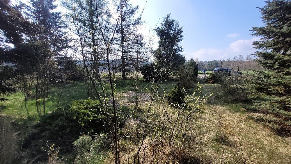 Działka 5000m2 zabudowana 2 budynkami mieszkalnymi (pustostan) i budynkiem gospodarczym - udział 1/2 – zdjęcie 7 z 11