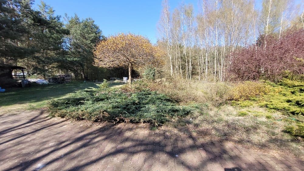 Dom jednorodzinny przy lesie, na działce 7930m2 - udział 7/8 – zdjęcie 4 z 15
