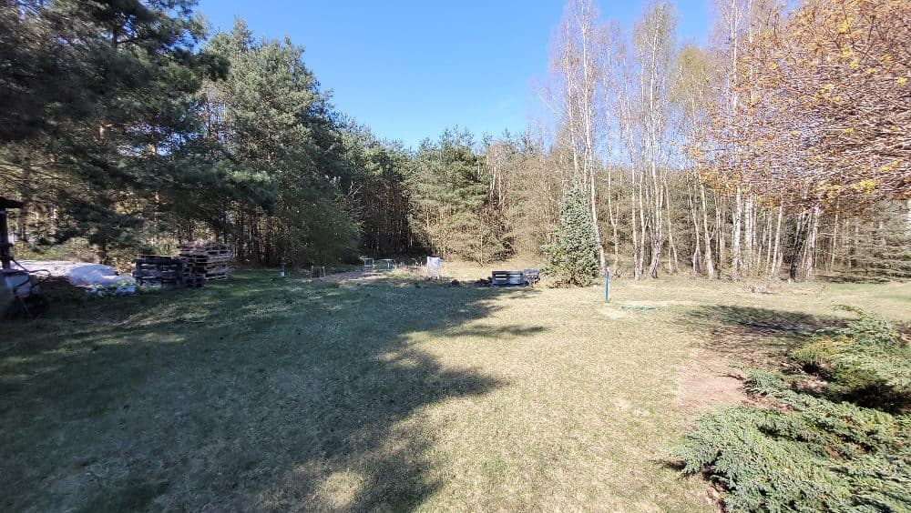 Dom jednorodzinny przy lesie, na działce 7930m2 - udział 7/8 – zdjęcie 5 z 15