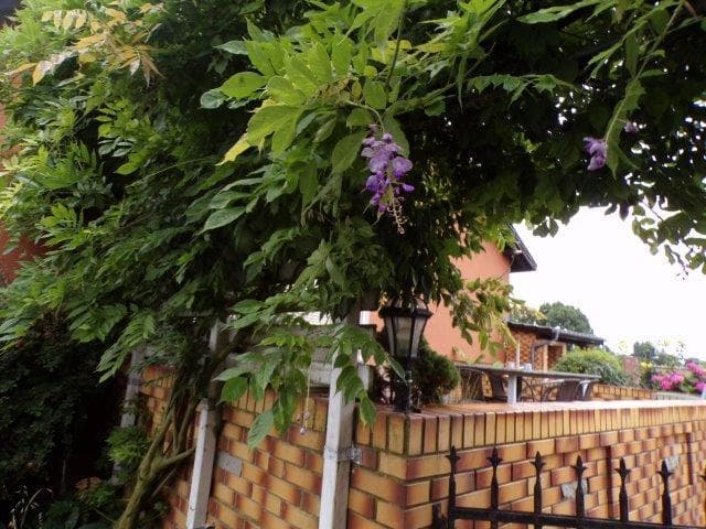 dom – zdjęcie 75 z 78
