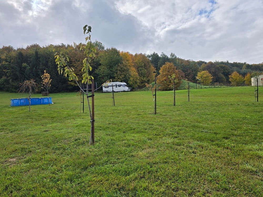 dom pod lasem w trakcie budowy - Dobroszów, gmina Przeworno – zdjęcie 2 z 10