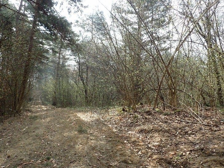 działka 448 o pow. 1,02 ha położona w Berezce gmina Solina
