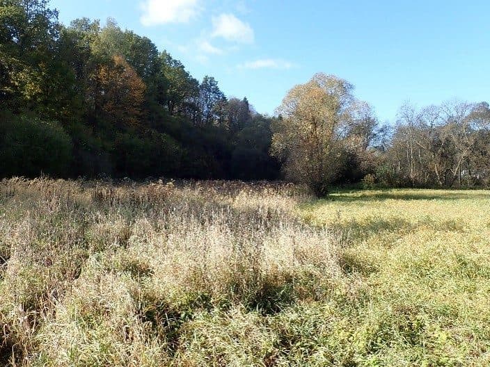 działka 1550 o pow. 0,3208 ha
