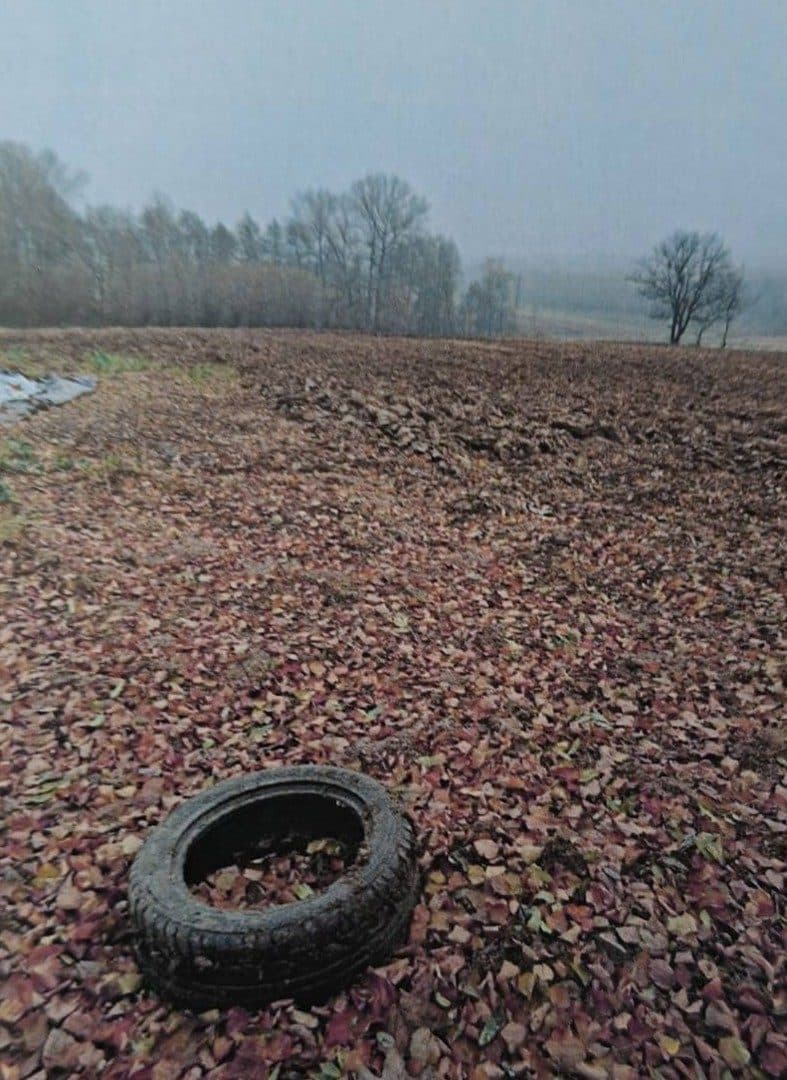 nieruchomość gruntowa niezabudowana dz. nr 183/2