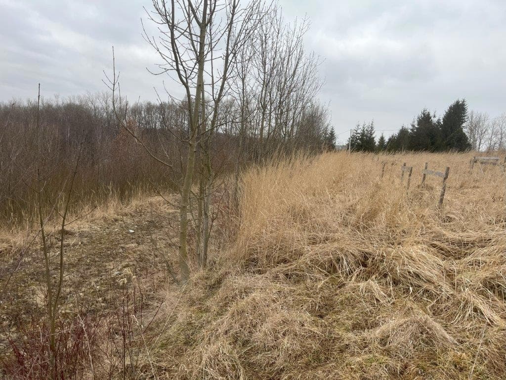 Borek Stary - działki inwestycyjne widokowe - 0,38 ha – zdjęcie 2 z 6