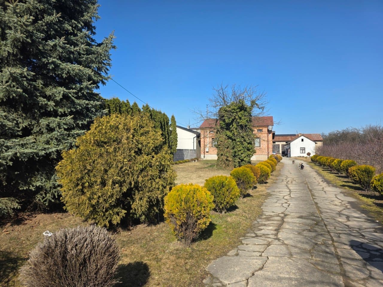 nieruchomość – zdjęcie 27 z 29