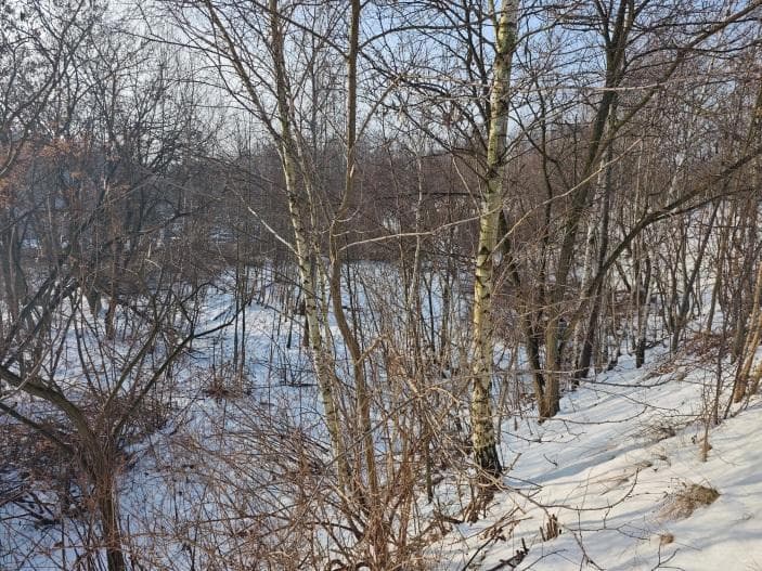 Grunt, Katowice przy al. Górnośląskiej (rejon ul. Wita Stwosza i Ceglanej), KW nr KA1K/00031198/2 – zdjęcie 10 z 10