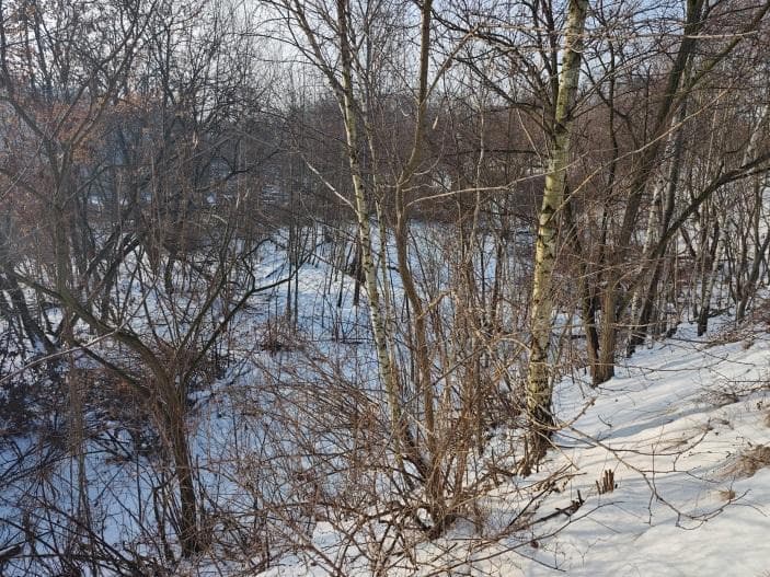 Grunt, Katowice przy al. Górnośląskiej (rejon ul. Wita Stwosza i Ceglanej), KW nr KA1K/00031198/2 – zdjęcie 2 z 10