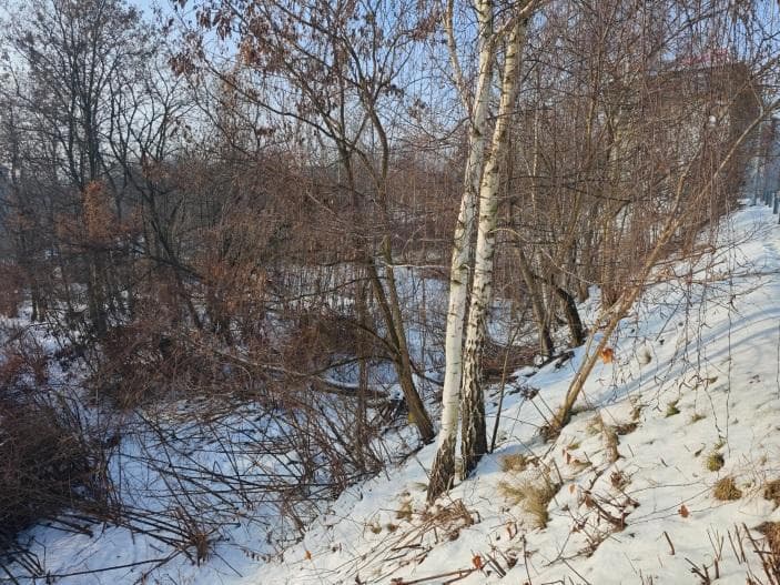 Grunt, Katowice przy al. Górnośląskiej (rejon ul. Wita Stwosza i Ceglanej), KW nr KA1K/00031198/2 – zdjęcie 5 z 10