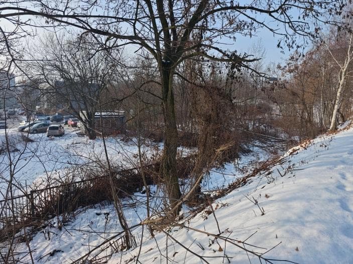 Grunt, Katowice przy al. Górnośląskiej (rejon ul. Wita Stwosza i Ceglanej), KW nr KA1K/00031198/2 – zdjęcie 8 z 10