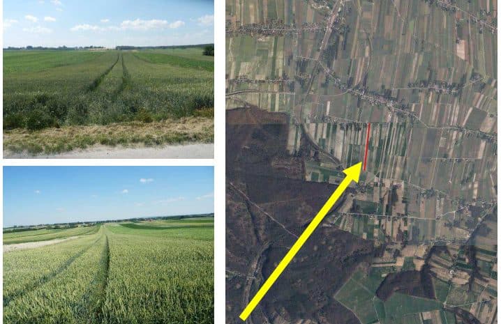 działki nr 164 oraz 165 o łącznej pow. 1ha69a91m2, położone w msc. Kamionka, gmina Kozłów, pow. miechowski opisane jako grunty orne