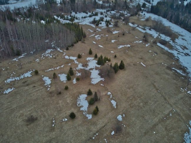 Działka 9270/1 - Glinka