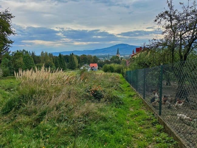Licytacja nieruchomości – zdjęcie 2 z 6