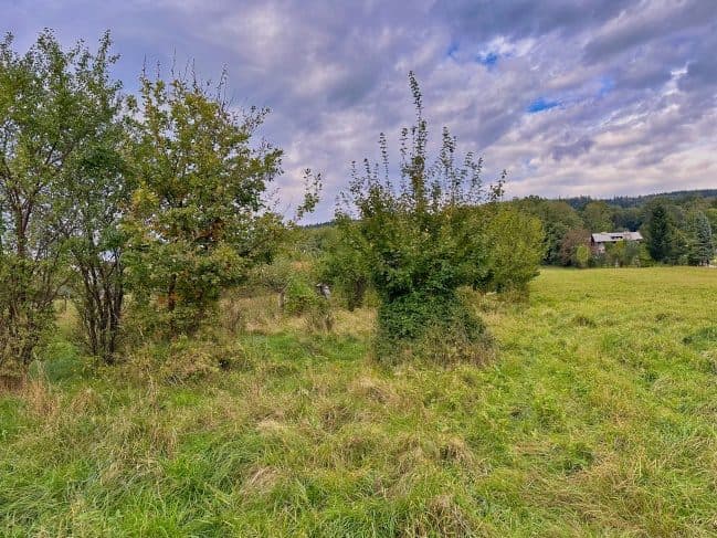 Licytacja nieruchomości – zdjęcie 3 z 6