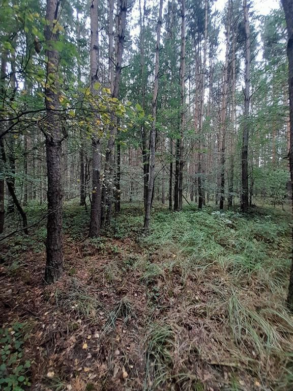 nieruchomość – zdjęcie 4 z 9