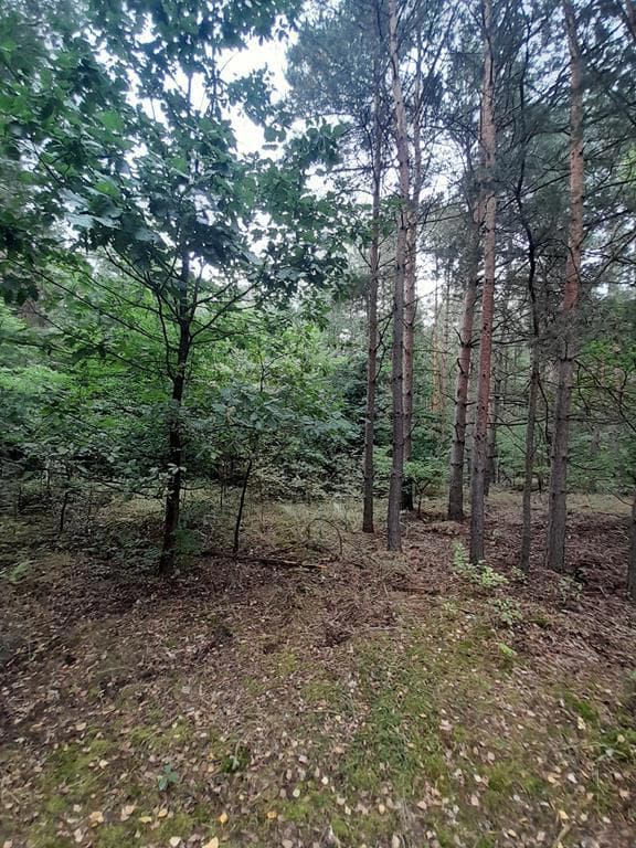 nieruchomość – zdjęcie 6 z 9