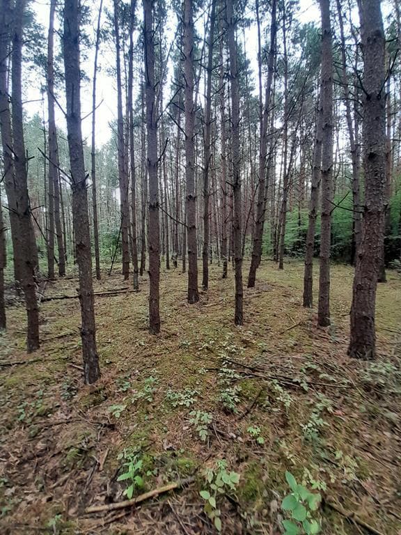 nieruchomość – zdjęcie 8 z 9