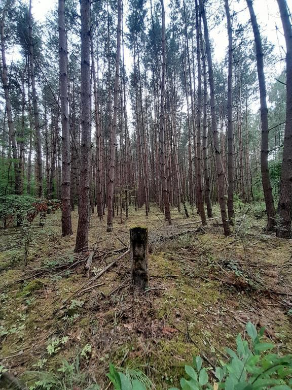 nieruchomość – zdjęcie 9 z 9