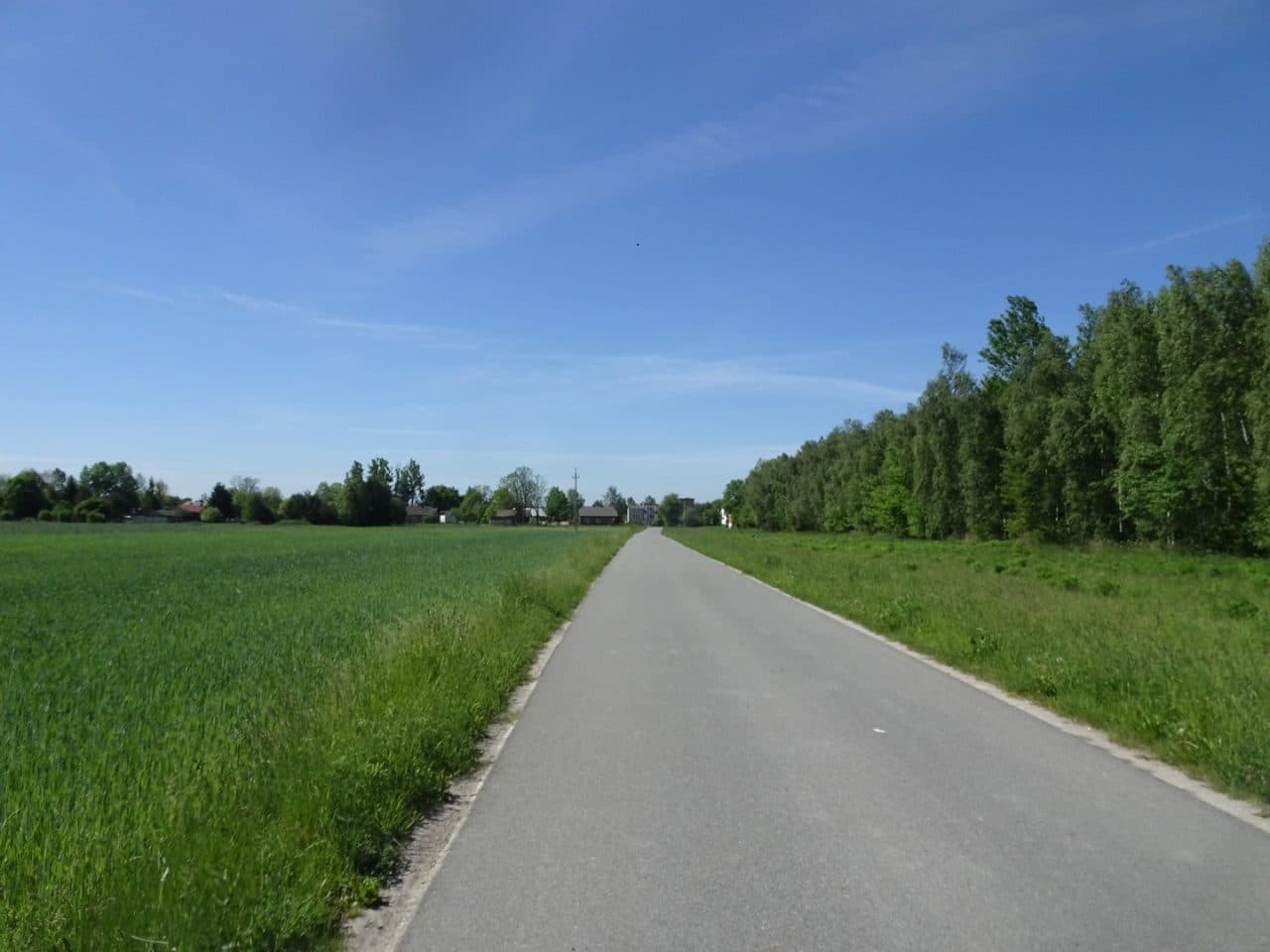 nieruchomość gruntowa (działka ozn. nr 2601/2)