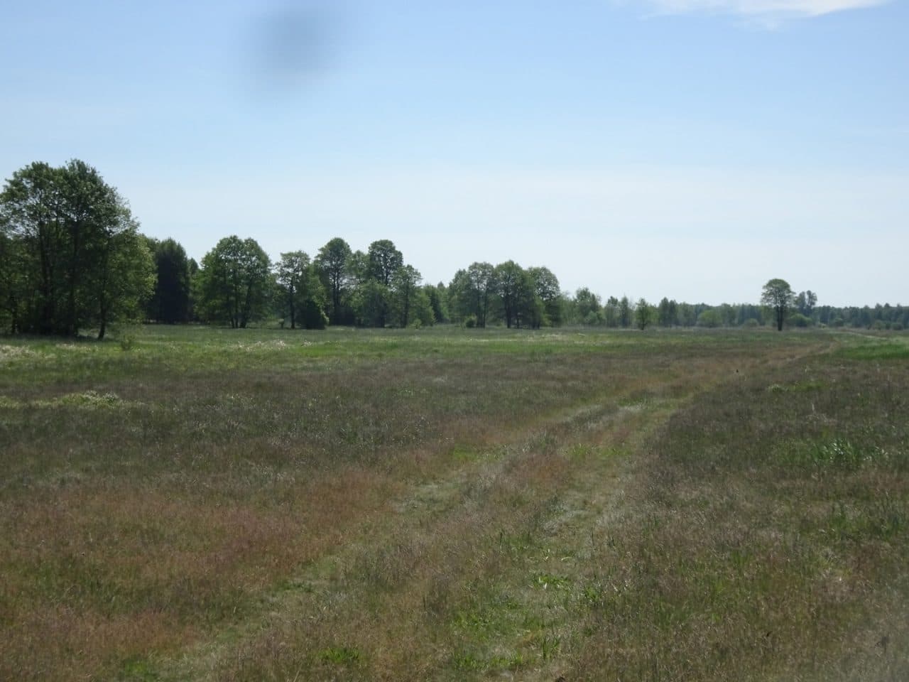 nieruchomość gruntowa (działka ozn. 2663)