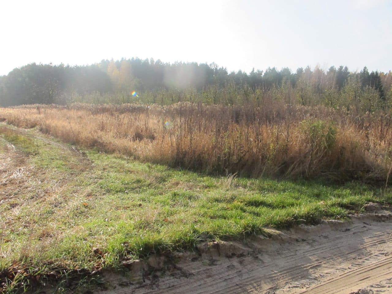 dz. nr ewid. 582, 629, 716, 762, 965, 1004, 813, 677, 672, 1053 – zdjęcie 2 z 5