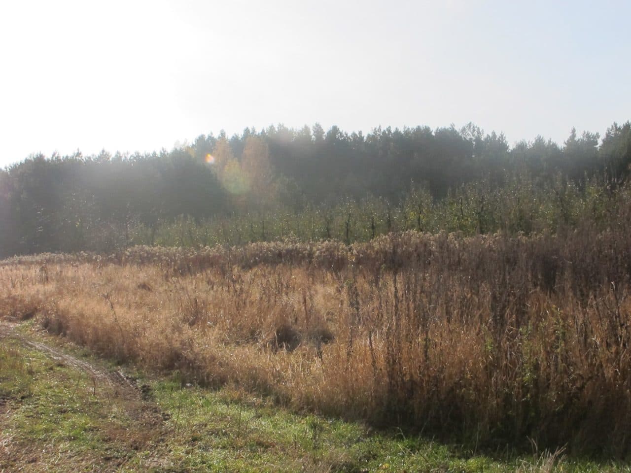 dz. nr ewid. 582, 629, 716, 762, 965, 1004, 813, 677, 672, 1053 – zdjęcie 3 z 5