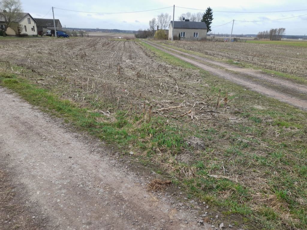 Udział 1/2 części we własności nieruchomości położonej w miejscowości Adamin, gm. Olszówka – zdjęcie 6 z 6