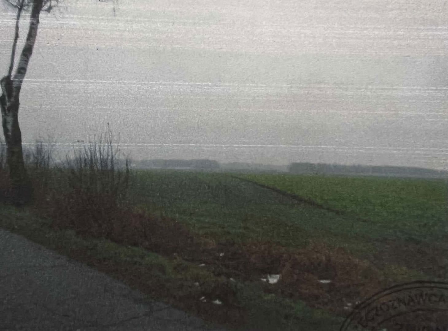 Nieruchomość gruntowa rolna niezabudowana - objęta KW PL1L/00029131/7 – zdjęcie 2 z 3