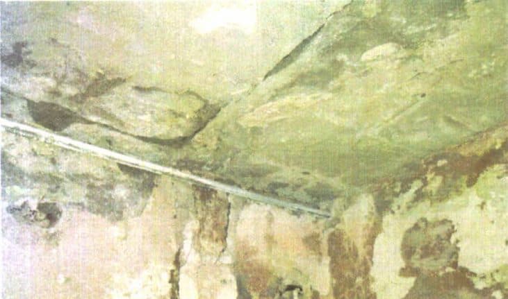 Nieruchomość zabudowana budynkiem biurowym i portiernią - 4 540m2 – zdjęcie 5 z 10