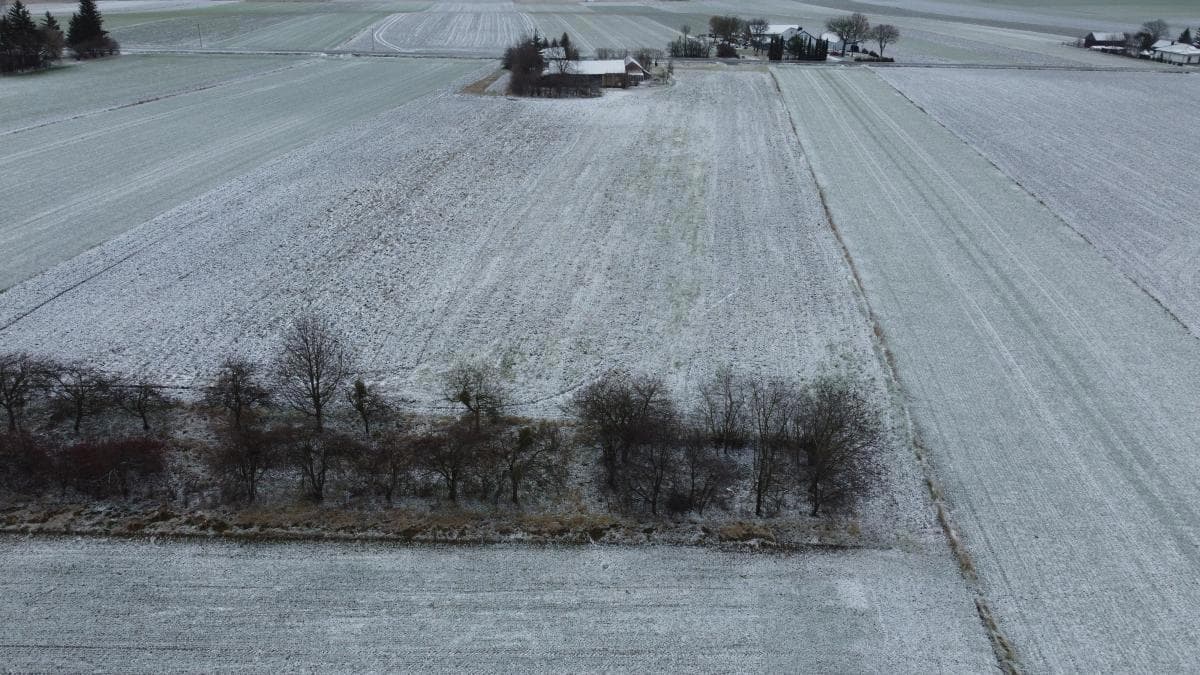 Prawo własności do nieruchomości gruntowej - grunt orny 1,4892 ha - Leszczany gm. Żmudź – zdjęcie 2 z 6